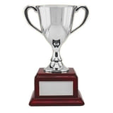 Кубок; серебристый; 15