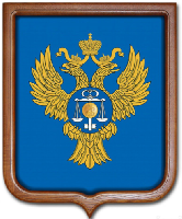 Герб Казначейства РФ 53х61 см, печатный, рамка светлое дерево Герб Казначейства РФ 53х61 см, печатный, рамка светлое дерево